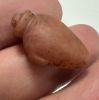Picture of  Ancient Egypt. CARNELIAN STONE HEART AMULET. 600 - 300 B.C