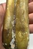 Picture of   Ancient ROMAN GLASS VESSEL. 300 - 400 A.D