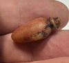 Picture of   Ancient Egypt. CARNELIAN STONE HEART AMULET. 600 - 300 B.C