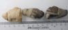 Picture of   Ancient ROMAN LOT OF 3 STONE FRAGMENTS. A BULL AND TWO HANDS. 100 - 300 A.D