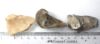 Picture of   Ancient ROMAN LOT OF 3 STONE FRAGMENTS. A BULL AND TWO HANDS. 100 - 300 A.D