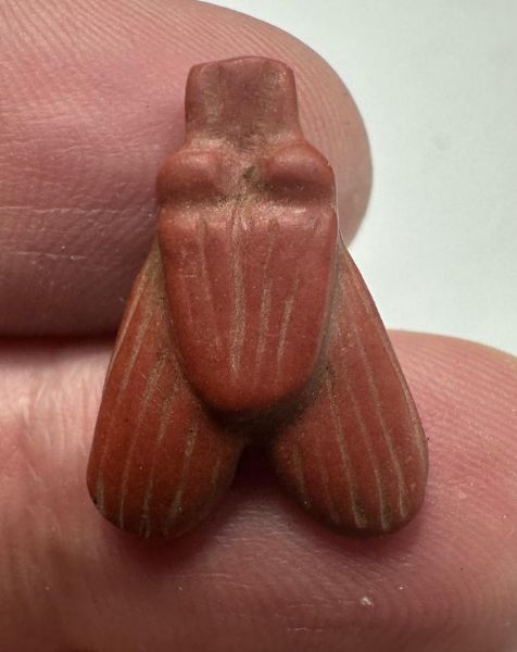 Picture of ANCIENT EGYPT -  BEAUTIFUL RED JASPER STONE FLY AMULET. LATE PERIOD. 300 - 100 B.C