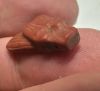 Picture of ANCIENT EGYPT -  BEAUTIFUL RED JASPER STONE FLY AMULET. LATE PERIOD. 300 - 100 B.C