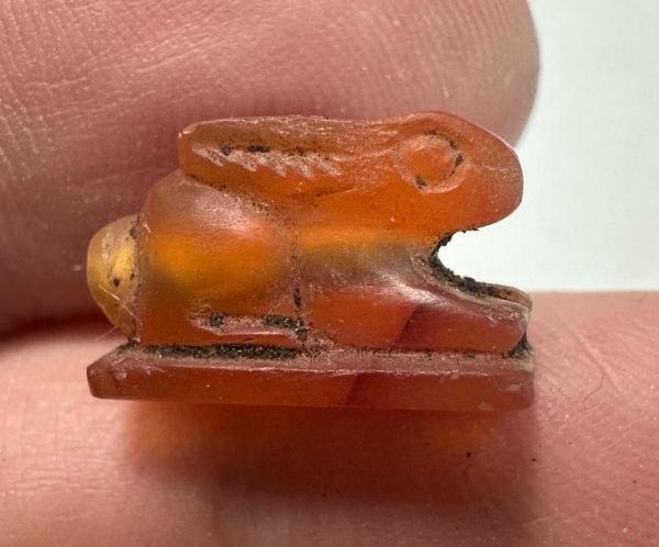 Picture of ANCIENT EGYPT -  BEAUTIFUL  CARNELIAN AMULET OF A HARE . LATE PERIOD. 300 - 100 B.C