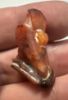 Picture of ANCIENT EGYPT -  BEAUTIFUL  CARNELIAN FALCON (HORUS) AMULET . LATE PERIOD. 300 - 100 B.C
