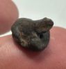 Picture of ANCIENT EGYPT -  BEAUTIFUL  FROG SHAPED FAIENCE SCARABOID . LATE PERIOD. 300 - 100 B.C