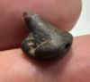 Picture of ANCIENT EGYPT -  BEAUTIFUL  FROG SHAPED FAIENCE SCARABOID . LATE PERIOD. 300 - 100 B.C