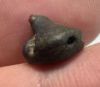 Picture of ANCIENT EGYPT -  BEAUTIFUL  FROG SHAPED FAIENCE SCARABOID . LATE PERIOD. 300 - 100 B.C