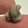 Picture of ANCIENT EGYPT -  BEAUTIFUL  AGATE FROG AMULET . LATE PERIOD. 300 - 100 B.C