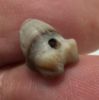 Picture of ANCIENT EGYPT -  BEAUTIFUL  AGATE FROG AMULET . LATE PERIOD. 300 - 100 B.C