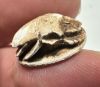 Picture of ANCIENT EGYPT -  BEAUTIFUL  STONE  SCARAB . WITH THE NAME OF THUTMOSES IV. NEW KINGDOM. 1400 - 1200 B.C