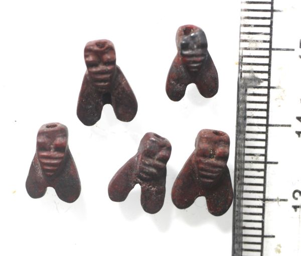 Picture of   Ancient Egypt. LOT OF 5  STONE FLY AMULETS. 600 - 300 B.C