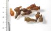 Picture of  Ancient Egypt. LOT OF 10 CARNELIAN STONE POPPY SEED AMULETS. 600 - 300 B.C