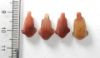 Picture of   Ancient Egypt. LOT OF 4 CARNELIAN LOTUS FLOWER  AMULETS. 600 - 300 B.C
