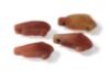 Picture of   Ancient Egypt. LOT OF 4 CARNELIAN LOTUS FLOWER  AMULETS. 600 - 300 B.C