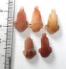 Picture of   Ancient Egypt. LOT OF 5 CARNELIAN LOTUS FLOWER  AMULETS. 600 - 300 B.C