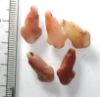 Picture of   Ancient Egypt. LOT OF 5 CARNELIAN LOTUS FLOWER  AMULETS. 600 - 300 B.C