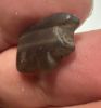 Picture of   Ancient Egypt.   Stone Eye of Horus Amulet  . 600 - 300 B.C
