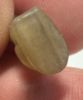Picture of   Ancient Egypt.   Stone Cat  . Ptolemaic Period. 3rd century B.C
