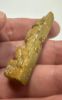 Picture of ANCIENT EGYPT - FAIENCE  AMULET OF A HARE. GRECO - ROMAN. 300 - 100 B.C