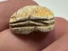 Picture of  Ancient Egypt. Stone Scarab Second Intermediate Period . 1700 - 1500  B.C