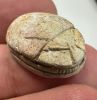 Picture of Ancient Egypt. Stone Scarab Second Intermediate Period . 1700 - 1500  B.C