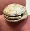 Picture of Ancient Egypt. Stone Scarab Second Intermediate Period . 1700 - 1500  B.C