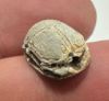 Picture of  Ancient Egypt.  Stone Scarab. New Kingdom .14th B.C