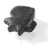 Picture of   Ancient Egypt.   Black Limestone  Eye of Horus Amulet  . 600 - 300 B.C
