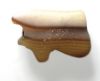 Picture of  Ancient Egypt.   Banded Agate Stone Eye of Horus Amulet  . 600 - 300 B.C