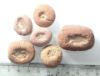 Picture of ANCIENT EGYPT. LOT OF 6 TERRACOTTA AMULET MOULDS 1400  B.C  AMARNA PERIOD