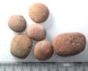 Picture of ANCIENT EGYPT. LOT OF 6 TERRACOTTA AMULET MOULDS 1400  B.C  AMARNA PERIOD