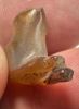 Picture of  Ancient Egypt.   Stone Cat  . Ptolemaic Period. 3rd century B.C