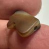 Picture of   Ancient Egypt.   Banded Agate Stone Eye of Horus Amulet  . 600 - 300 B.C