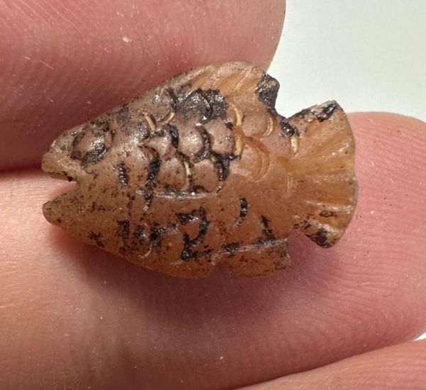 Picture of   Ancient Egypt. Beautiful Carnelian Stone fish Amulet. late period. 600 - 300 B.C