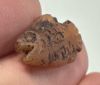 Picture of   Ancient Egypt. Beautiful Carnelian Stone fish Amulet. late period. 600 - 300 B.C