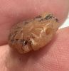 Picture of   Ancient Egypt. Beautiful Carnelian Stone fish Amulet. late period. 600 - 300 B.C