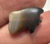 Picture of Ancient Egypt.   Banded Agate Stone Eye of Horus Amulet  . 600 - 300 B.C
