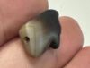 Picture of Ancient Egypt.   Banded Agate Stone Eye of Horus Amulet  . 600 - 300 B.C