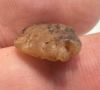 Picture of   Ancient Egypt. Beautiful Carnelian Stone fish Amulet. late period. 600 - 300 B.C
