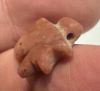 Picture of   Ancient Egypt.   Carnelian Stone  Eye of Horus Amulet  . 600 - 300 B.C