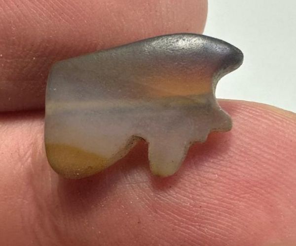 Picture of   Ancient Egypt.   Banded Agate Stone Eye of Horus Amulet  . 600 - 300 B.C