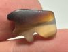 Picture of   Ancient Egypt.   Banded Agate Stone Eye of Horus Amulet  . 600 - 300 B.C