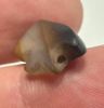 Picture of   Ancient Egypt.   Banded Agate Stone Eye of Horus Amulet  . 600 - 300 B.C