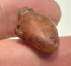 Picture of  Ancient Egypt. CARNELIAN STONE HEART AMULET. 600 - 300 B.C