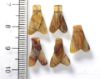 Picture of Ancient Egypt. LOT OF 5  CARNELIAN STONE FLY AMULETS. 600 - 300 B.C