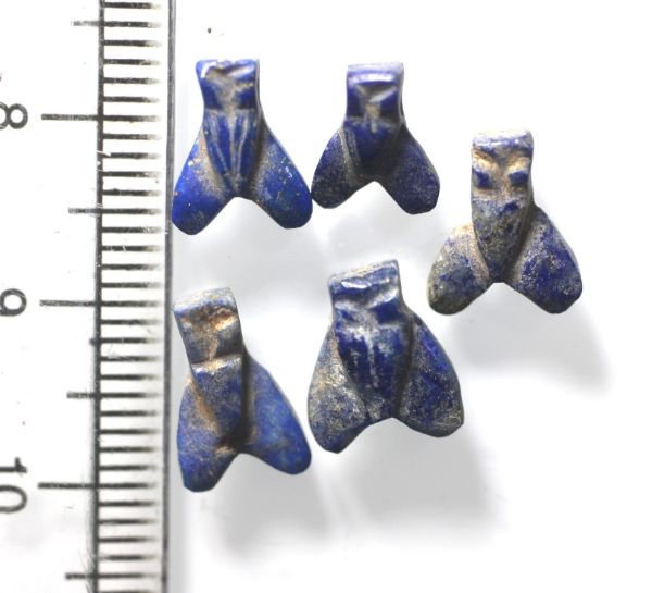 Picture of Ancient Egypt. LOT OF 5  LAPIS LAZULI  STONE FLY AMULETS. 600 - 300 B.C