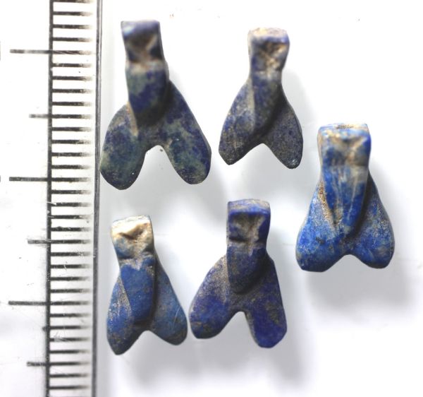 Picture of   Ancient Egypt. LOT OF 5  LAPIS LAZULI  STONE FLY AMULETS. 600 - 300 B.C