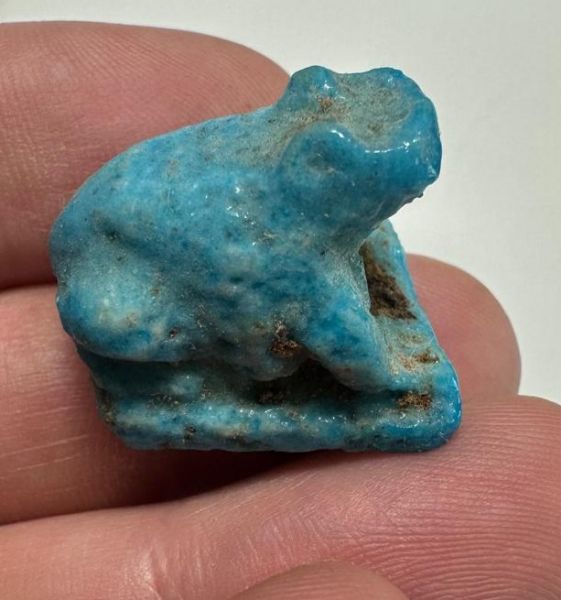 Picture of ANCIENT EGYPT.  BEAUTIFUL COLOR. GRECO - ROMAN - FAIENCE FROG SCARABOID . 300 B.C - 100 A.D