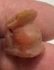 Picture of ANCIENT EGYPT -  BEAUTIFUL  CARNELIAN AMULET OF A HARE . LATE PERIOD. 300 - 100 B.C